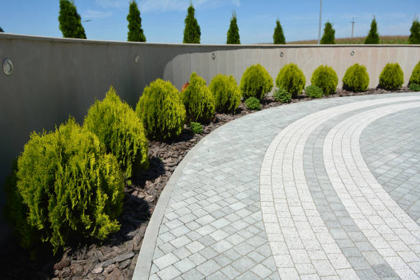 Reasons to Select Us for Your Driveway Paving Requirements in Salem, MO